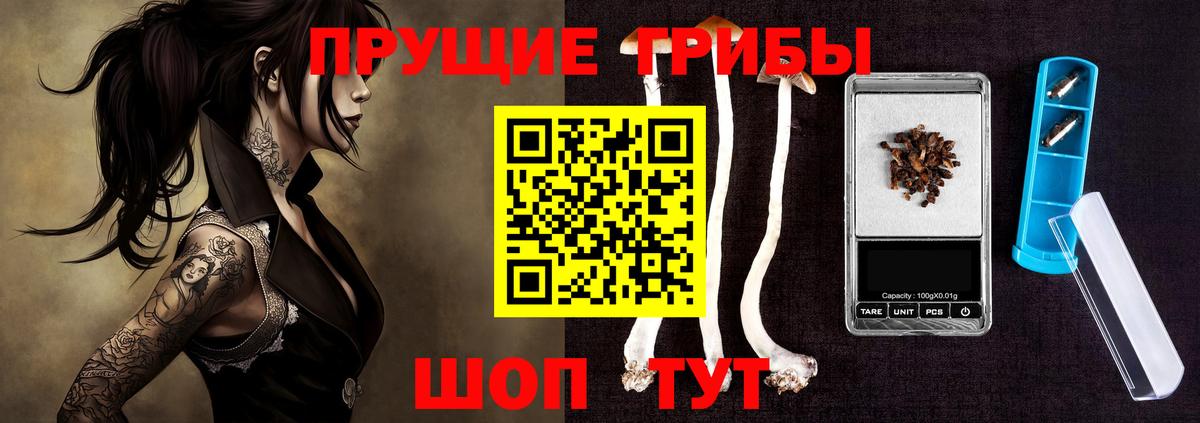 Лениногорск  Галлюциногенные грибы мицелий  Вход с VPN 