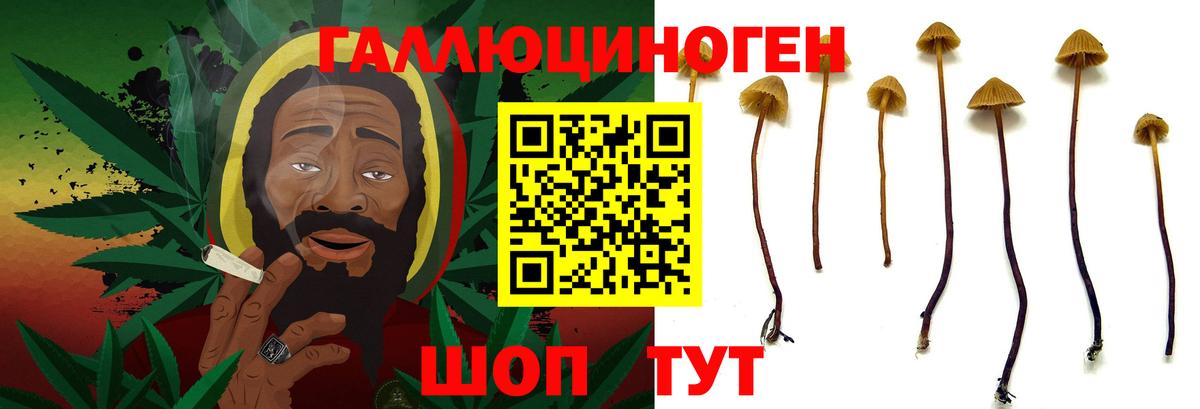 Галлюциногенные грибы MAGIC MUSHROOMS Лениногорск